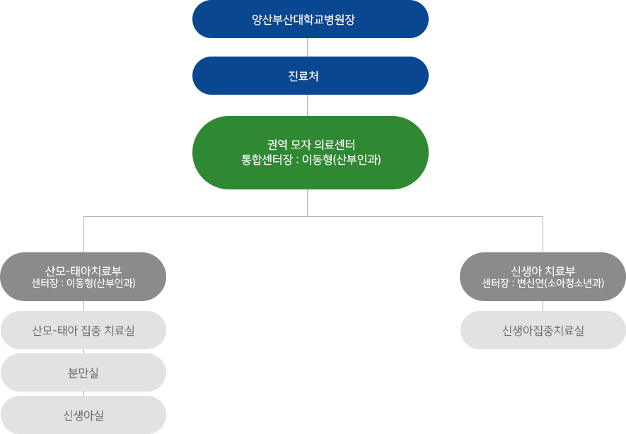 센터조직도